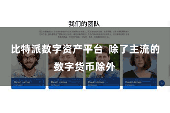 比特派数字资产平台 除了主流的数字货币除外