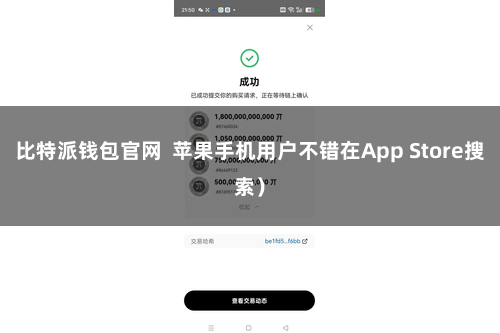 比特派钱包官网 苹果手机用户不错在App Store搜索)