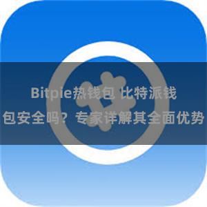 Bitpie热钱包 比特派钱包安全吗？专家详解其全面优势