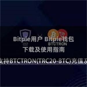 Bitpie用户 Bitpie钱包下载及使用指南