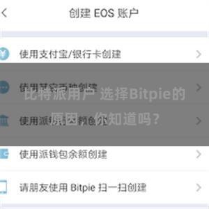 比特派用户 选择Bitpie的原因，你知道吗？