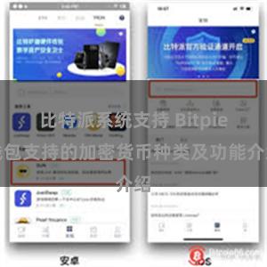 比特派系统支持 Bitpie钱包支持的加密货币种类及功能介绍