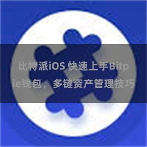 比特派iOS 快速上手Bitpie钱包，多链资产管理技巧