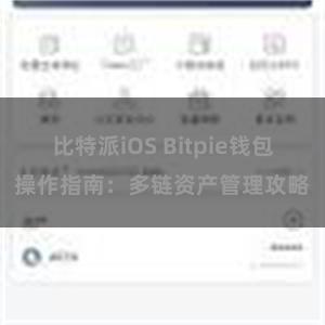 比特派iOS Bitpie钱包操作指南：多链资产管理攻略