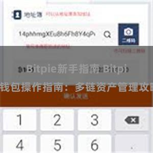 Bitpie新手指南 Bitpie钱包操作指南：多链资产管理攻略