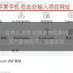 比特派提现 比特派钱包多链资产管理技巧：全面攻略