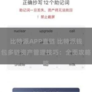 比特派APP直链 比特派钱包多链资产管理技巧：全面攻略