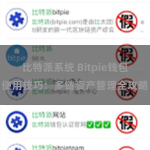 比特派系统 Bitpie钱包使用技巧：多链资产管理全攻略