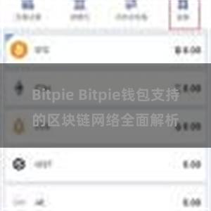 Bitpie Bitpie钱包支持的区块链网络全面解析