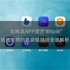 比特派APP官方 Bitpie钱包支持的区块链网络全面解析