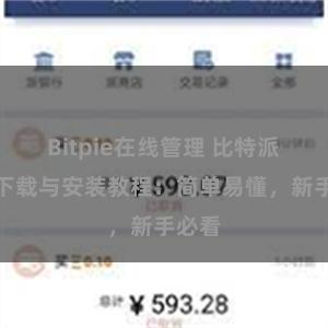 Bitpie在线管理 比特派钱包下载与安装教程：简单易懂，新手必看