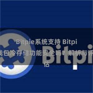 Bitpie系统支持 Bitpie钱包冷存储功能安全吗？解析与评估