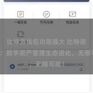 比特派钱包功能强大 比特派钱包：数字资产管理生态进化，无限可能！