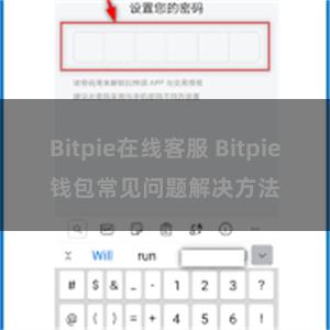 Bitpie在线客服 Bitpie钱包常见问题解决方法