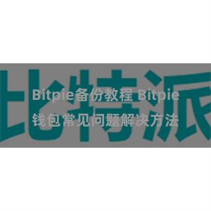 Bitpie备份教程 Bitpie钱包常见问题解决方法