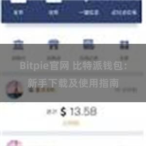 Bitpie官网 比特派钱包：新手下载及使用指南