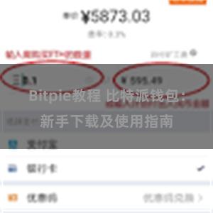 Bitpie教程 比特派钱包：新手下载及使用指南