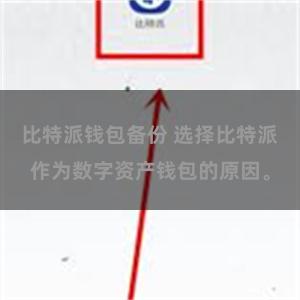 比特派钱包备份 选择比特派作为数字资产钱包的原因。