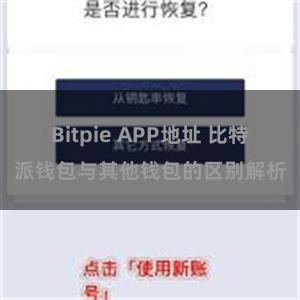 Bitpie APP地址 比特派钱包与其他钱包的区别解析