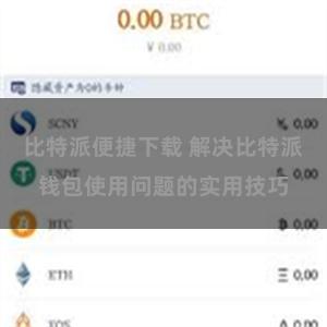 比特派便捷下载 解决比特派钱包使用问题的实用技巧