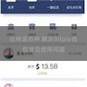 比特派币种 解决Bitpie钱包常见使用问题