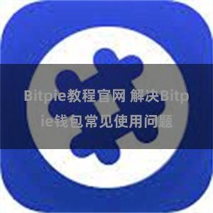 Bitpie教程官网 解决Bitpie钱包常见使用问题