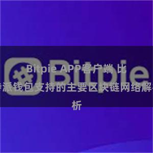 Bitpie APP客户端 比特派钱包支持的主要区块链网络解析