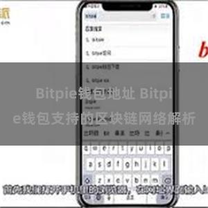 Bitpie钱包地址 Bitpie钱包支持的区块链网络解析