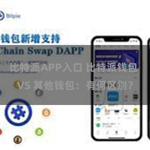 比特派APP入口 比特派钱包 VS 其他钱包：有何区别？