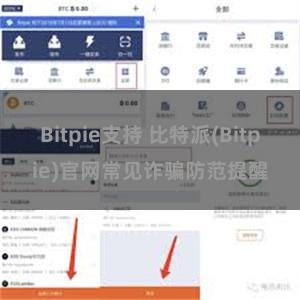 Bitpie支持 比特派(Bitpie)官网常见诈骗防范提醒