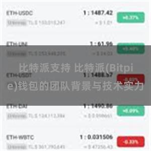 比特派支持 比特派(Bitpie)钱包的团队背景与技术实力