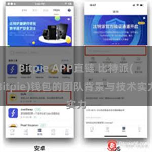 Bitpie APP直链 比特派(Bitpie)钱包的团队背景与技术实力