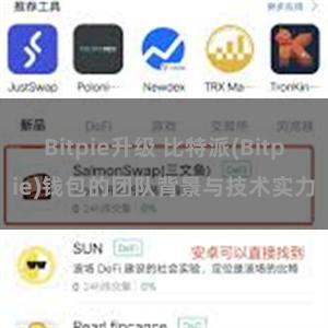 Bitpie升级 比特派(Bitpie)钱包的团队背景与技术实力