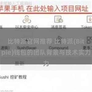 比特派官网推荐 比特派(Bitpie)钱包的团队背景与技术实力