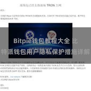 Bitpie钱包教程大全 比特派钱包用户隐私保护措施详解