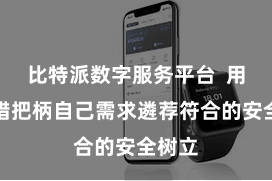 比特派数字服务平台  用户不错把柄自己需求遴荐符合的安全树立